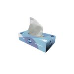 Pañuelos Faciales Level Pro PF24910, Hojas Dobles, Caja con 100 Hojas